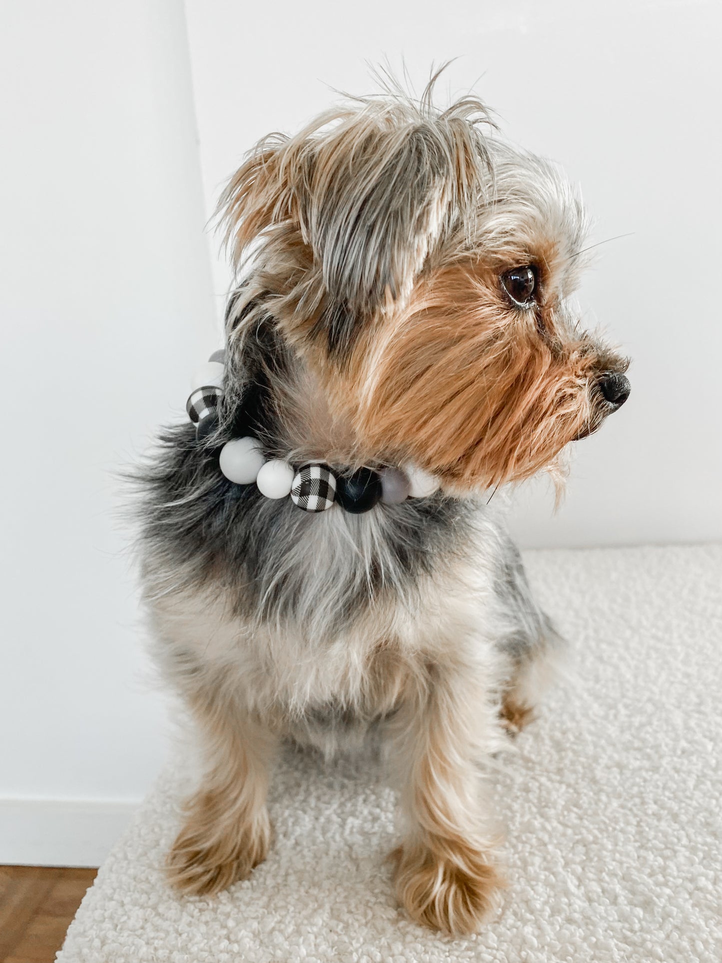 Black Beauty Necklace