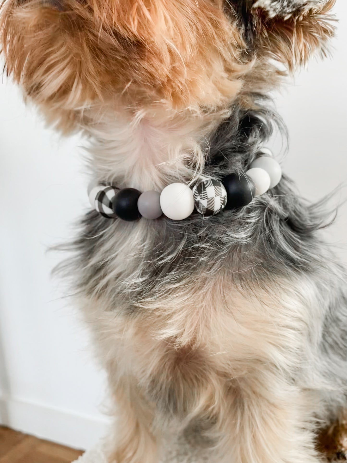 Black Beauty Necklace