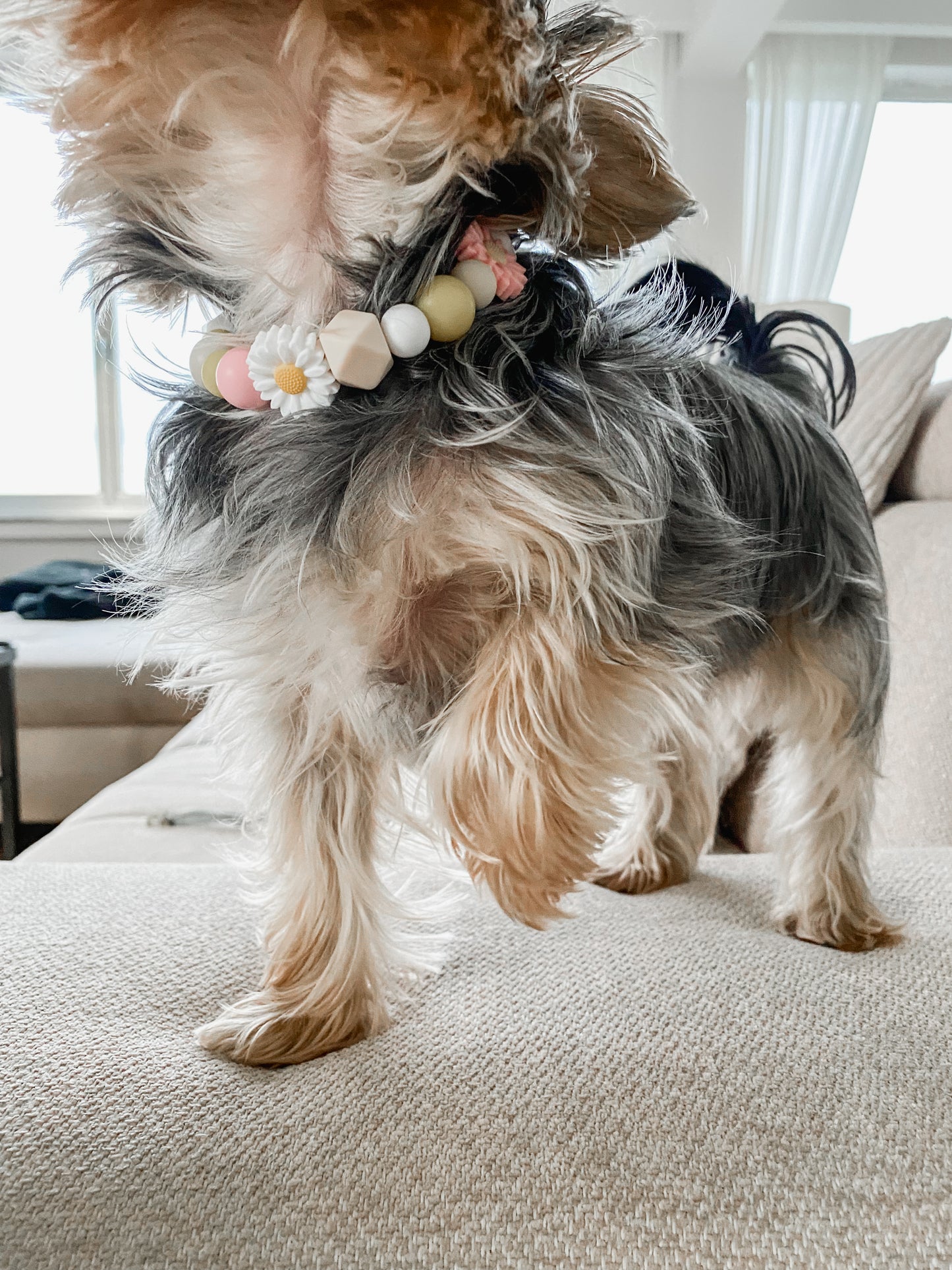 White Daisy Necklace